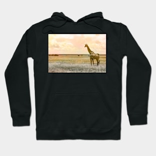 Day Dreaming Hoodie